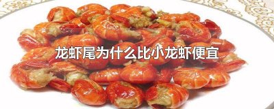 ​龙虾尾为什么比小龙虾便宜呢 龙虾尾为啥比小龙虾便宜