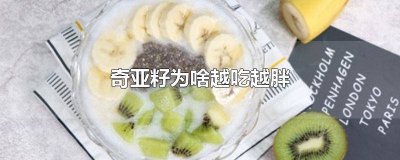 ​奇亚籽吃了会不会胖呀 奇亚籽吃了会发胖吗