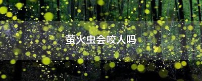 ​萤火虫会咬人吗视频教程 萤火虫蜇人吗