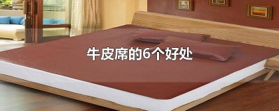 ​牛皮席好吗 牛皮席的优缺点 牛皮席好吗 牛皮席的缺点