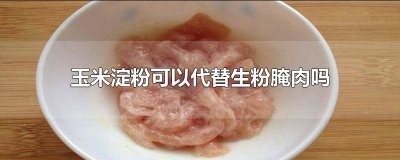 ​用玉米淀粉腌肉好吗 腌肉用玉米淀粉还是土豆淀粉
