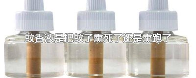 ​蚊香能不能把蚊子给熏死 蚊香能把蚊子熏死吗