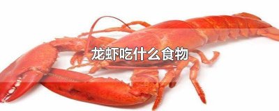 ​淡水小虾吃什么食物 淡水哪家小龙虾好吃