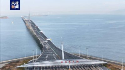 ​湾区联通迈新步！港澳“北上”单牌车突破200万辆次