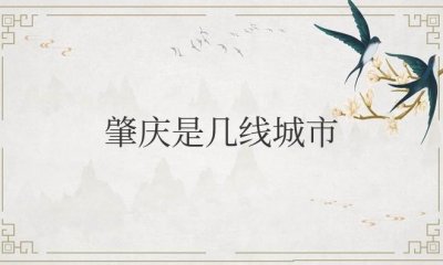​广东肇庆是几线城市