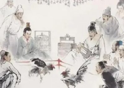 ​在古代斗鸡是如何流行起来的？经历了什么样的发展？