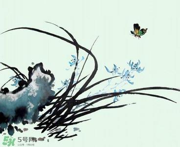 空谷幽兰是什么书？空谷幽兰讲的是什么？