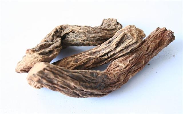 锁阳可以长期泡水喝吗 需适量