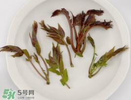 香椿能泡茶吗？香椿茶的功效与作用