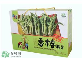 香椿能泡茶吗？香椿茶的功效与作用