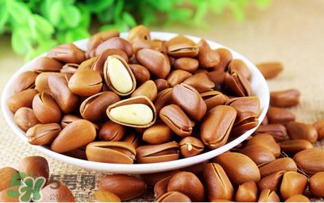 松子什么时候成熟？松子什么时候吃最好