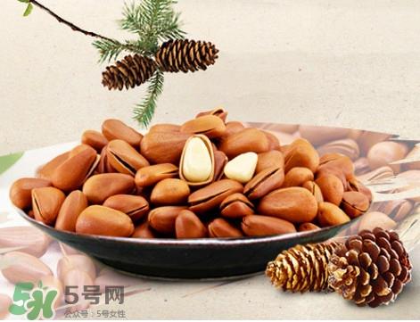 松子什么时候成熟？松子什么时候吃最好