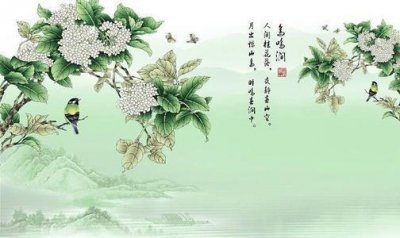 ​人闲桂花落的下一句是什么（作者王维夜静春山空表达的意思）