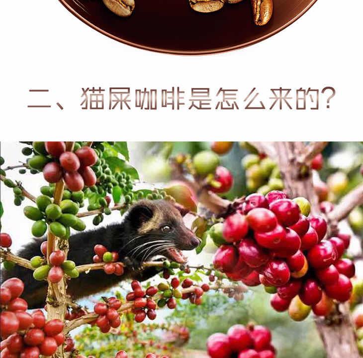 网络配图