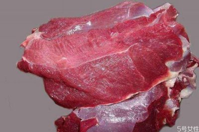 ​什么人不能吃鹿肉呢 鹿肉可以天天吃吗