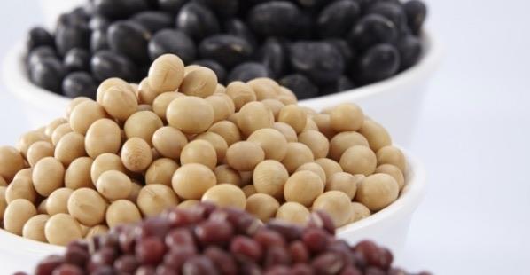 生活十大补脑的食物排名（坚果类助于提高记忆力）  4
