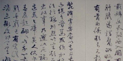 历史蔡文姬求情的典故，蔡文姬漂亮吗？  2
