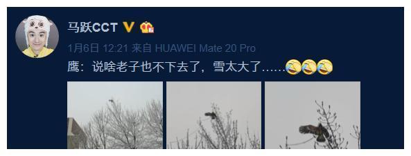 央视主持马跃健身照，42岁身材不输小鲜肉，滤镜下V脸大眼颜值高