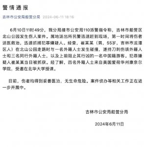 ​胡锡进：世界各地的刑事治安事件中，都会有外国人成为受害者的情况