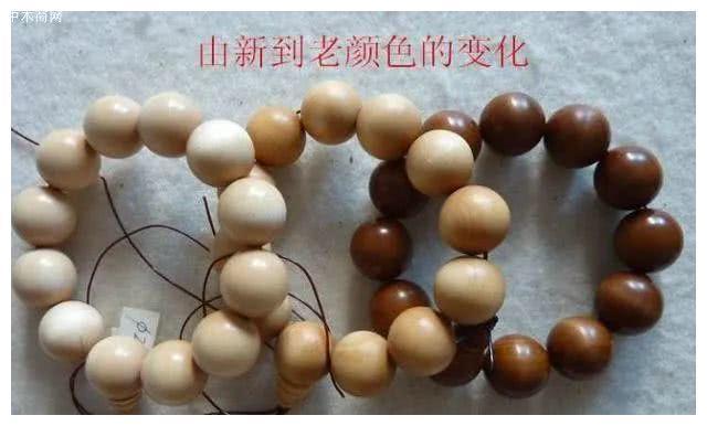 杵榆木与紫檀一样珍贵，为何知道的人却少得可怜？