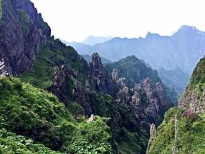 ​神农架深处为何不让人踏足，是因为发现“驴头狼”和“野人”了？