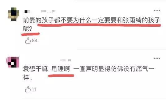 袁巴元咬定张雨绮出轨！黄毅清力挺男方，大爆奸夫是“伪富豪”！