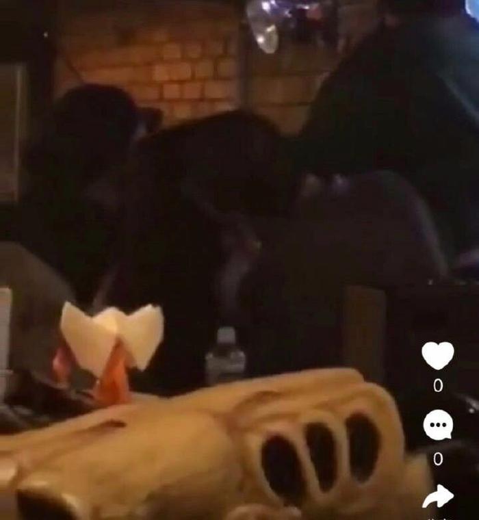 宣布结婚后的第十天，李诞被拍到与其他女子酒吧热吻，人间不值得
