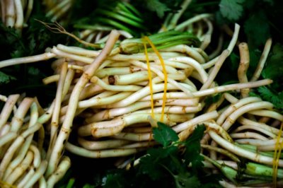 ​为什么有人不吃鱼腥草，怎么挑选鱼腥草