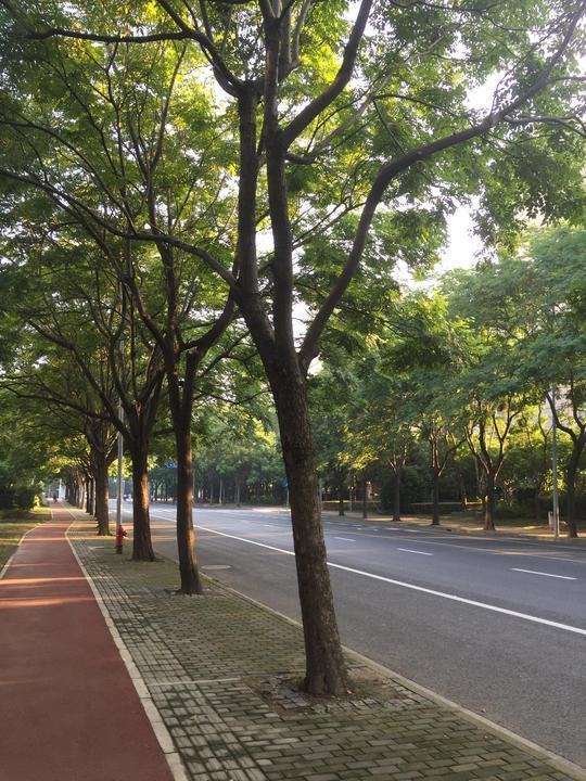 8岁孩独自吃火锅：熬过人生的孤独
