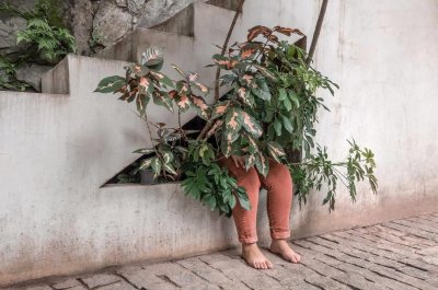 ​超现实主义 | Brooke DiDonato