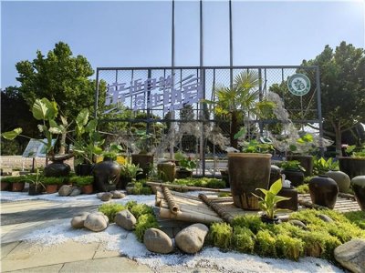 ​保定市植物园第四届水生植物艺术展拉开序幕