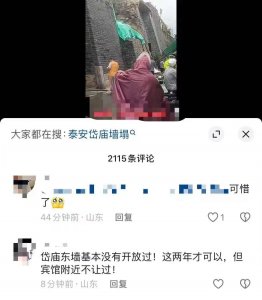 ​山东泰安岱庙坍塌？景区：维修时脚手架因大风倒塌，主体未受影响
