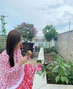​53岁杨钰莹现状：住深圳豪宅，穿碎花裙皮肤光滑，自家楼顶种菜