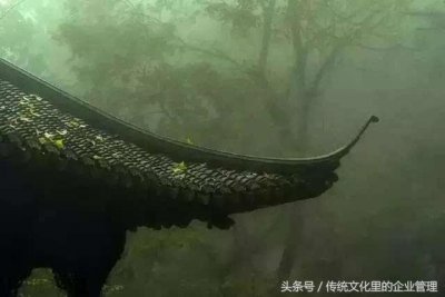 ​君子有所为有所不为-孟子谈取舍