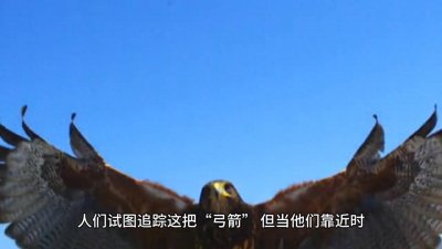 ​世界十大怪异事件
