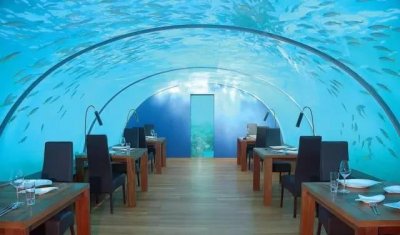 ​可以在海底用餐的6家精选餐厅