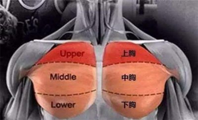 ​下胸肌太弱？针对训练4个动作，让你的胸肌轮廓更完美