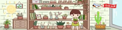 ​长得跟口红一样，属于吊兰的一种，名叫口红吊兰，你认识吗？