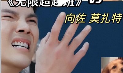 ​向佐手写简历曝光， 字迹潦草被批：除了投胎，真的是一无是处