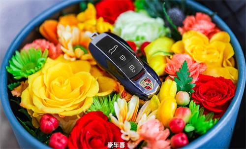 保时捷各色钥匙合辑