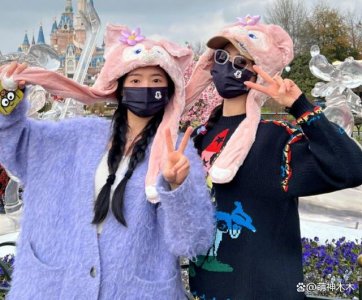 ​刘诗诗新剧杀青享假期，与同剧女二游迪士尼，穿搭在 85 花中价最低