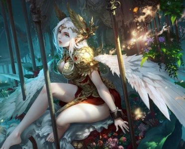 ​柯义，柯昌辉(柯友辉个人资料)