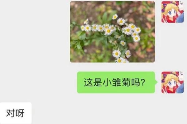 关晓彤可爱头像图集（关晓彤头像是小樱）(5)
