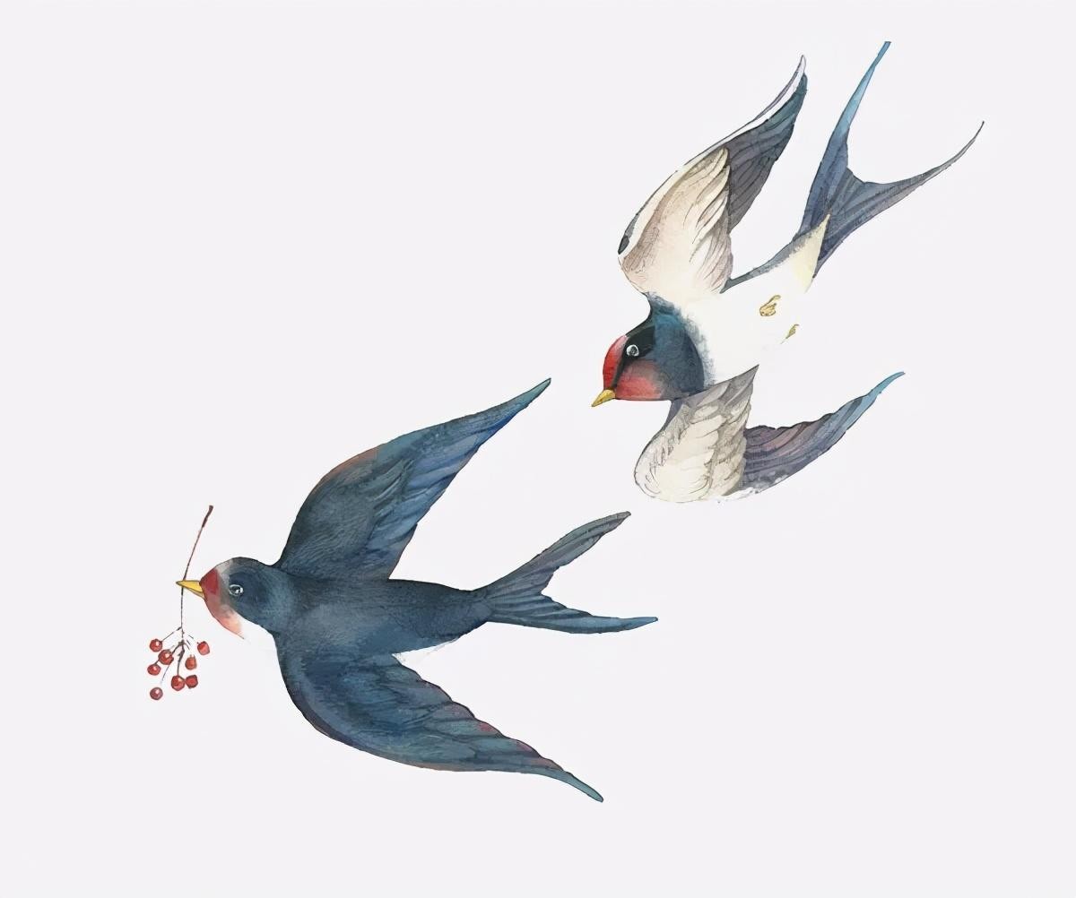 燕子的雅名(古人对燕子的雅称)