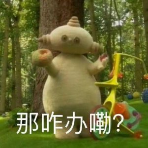 ​表情包：那咋办嘞