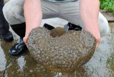 ​福建左海湖水怪是什么东西？福建左海湖水怪外貌曝光