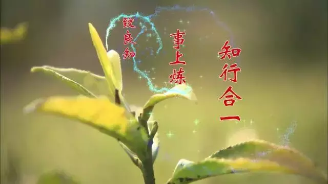 郦波王阳明心学百家讲坛(郦波王阳明心学合集百家讲坛) 郦波 王阳明 第8张