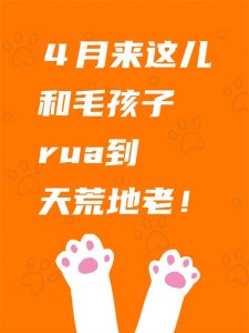 ​各位铲屎官注意啦！“萌力觉醒”