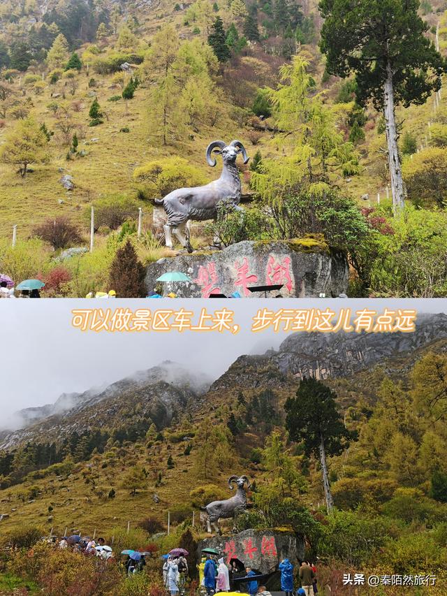 毕棚沟六月旅游攻略 2天1晚毕棚沟旅游攻略(9)