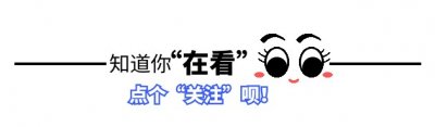 ​王菲女儿李嫣做最后“兔唇”修复，照片公开大变样，美得很高级